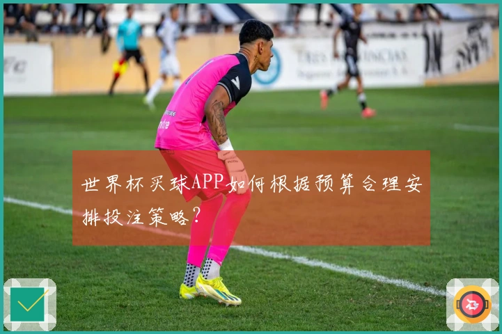 世界杯买球APP如何根据预算合理安排投注策略？