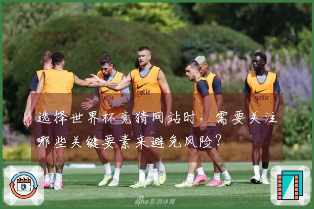 选择世界杯竞猜网站时，需要关注哪些关键要素来避免风险？