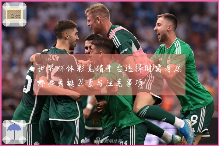 世界杯体彩竞猜平台选择时需考虑哪些关键因素与注意事项