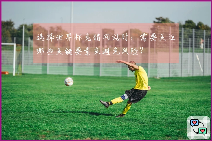 选择世界杯竞猜网站时，需要关注哪些关键要素来避免风险？